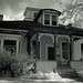 Diane Fitzsimmons Photo 5