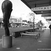 Terry Stringer Photo 8