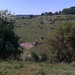 Catherine Downs Photo 16