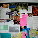 Ann Proctor Photo 36
