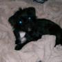 Brenda Fleming Photo 4