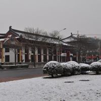 Chung Wong Photo 9