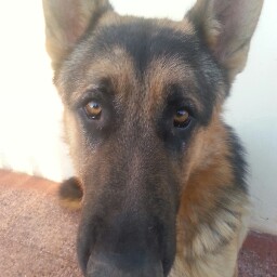 Juan Valladares Photo 26