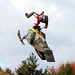 Darryl Tait Photo 3