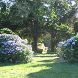 Elizabeth Stringer Photo 11