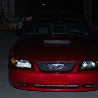 Robert Loehr Photo 30