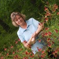 Nancy Etheridge Photo 26
