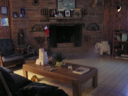 Debbie Warren Photo 19