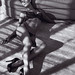 David Dinh Photo 13