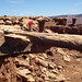 Gary Musselman Photo 22