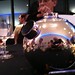 Robin Forman Photo 11