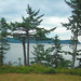 Darlene Lang Photo 9