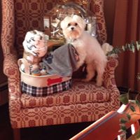 Patricia Lind Photo 22