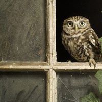 Debra Summers Photo 26