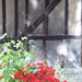 Ronald Bartholomew Photo 18
