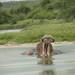 Elizabeth Wild Photo 14