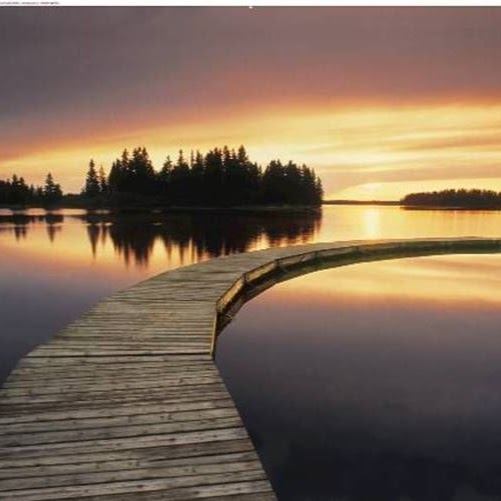 Linda Krause Photo 3
