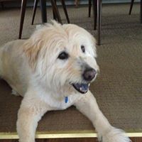 Cindy Stone Photo 5