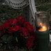 Donald Parker Photo 26