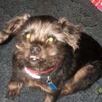 Debbie Peters Photo 13