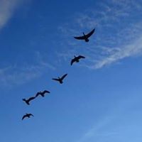 Debra Gordon Photo 37