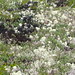 Tracey Hill Photo 19