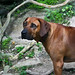 Tana Payne Photo 20