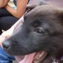 Debbie Hampton Photo 4