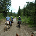 Nancy Mule Photo 13