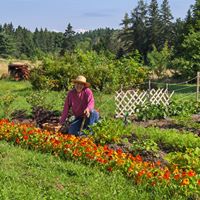 Christine Deering Photo 5