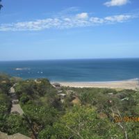 Nancy Stacey Photo 9