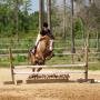 Kimberly Weber Photo 19