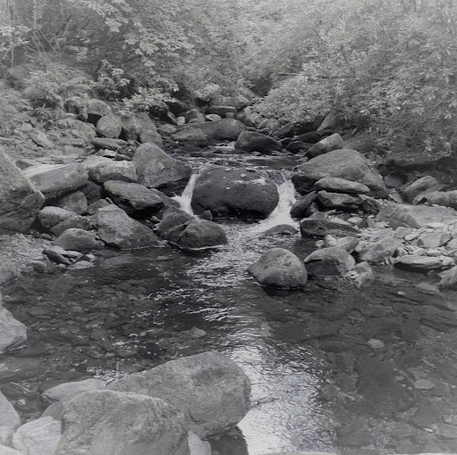 Rachel Travis Photo 7