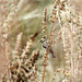 Gary Lesser Photo 20