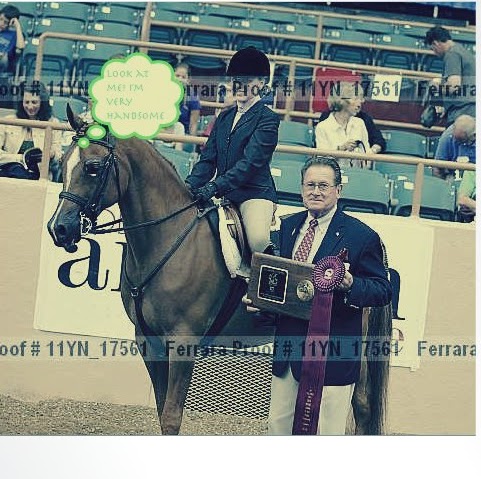 Tabitha Bell Photo 6