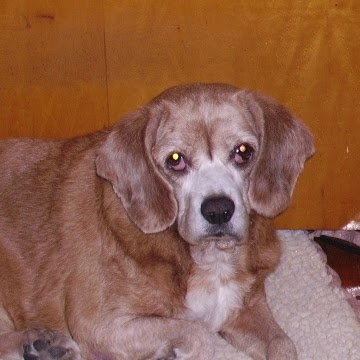 Terry Mathis Photo 33