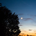 Gil Moon Photo 7