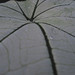 Susan Jaggers Photo 22