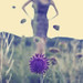 Aimee Wilson Photo 13