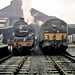 Robert Diesel Photo 13