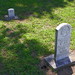 Elizabeth Carver Photo 22