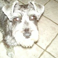 Jack Wilder Photo 21