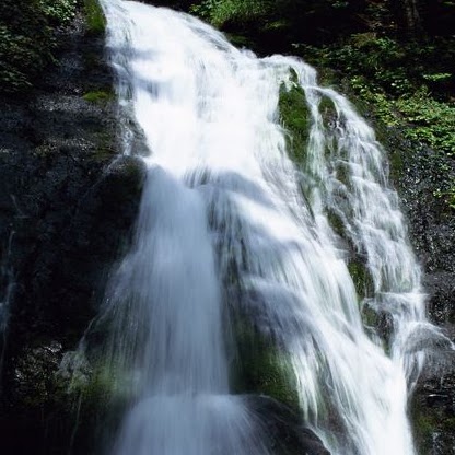 Peter Burns Photo 43