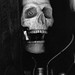 William Chandler Photo 16