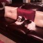 Janice Ray Photo 48