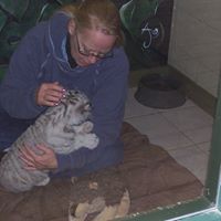 Janet Woodworth Photo 4