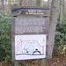 Patrick Ridge Photo 22