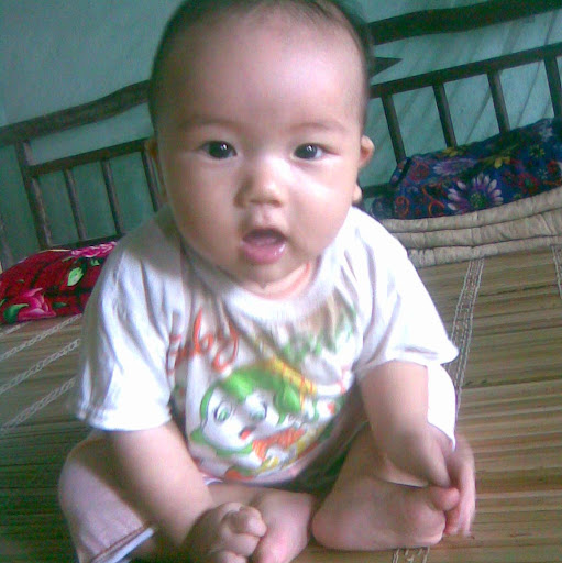 Tin Trinh Photo 6
