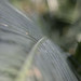 Adam Krohn Photo 25