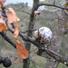 Brian Gall Photo 11
